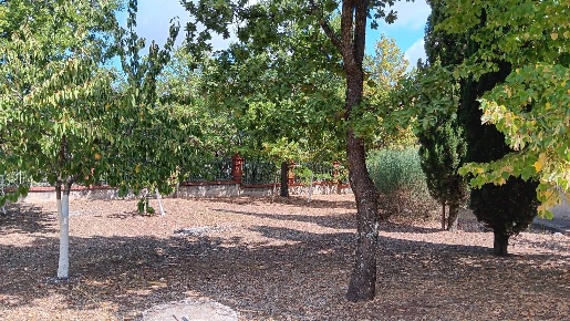 Foto Casa indipendente in contrada Grotte, Nusco di 180 m² con 4 locali