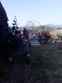 Foto Casa indipendente in strada provincile 64, Castiglione di Sicilia
