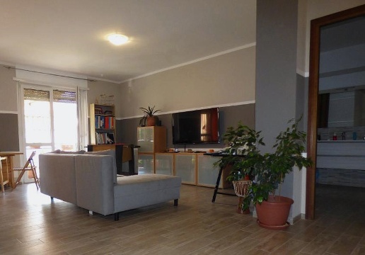 immagine annuncio 5 di 14