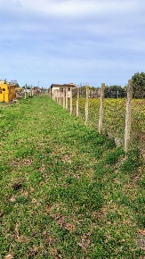 Foto Terreno agricolo a Nettuno Cioccati, Zucchetti di 400 m² in vendita