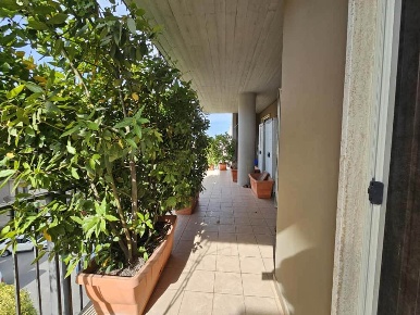 Foto Appartamento a Altamura di 112 m² con 4 locali in vendita