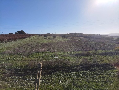 Foto Terreno agricolo a Naro di 10830 m² in vendita
