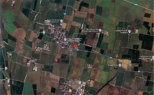 immagine annuncio 9 di 15