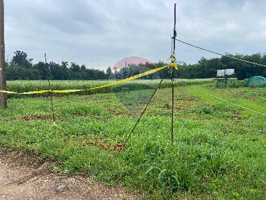 Foto Terreno agricolo in VIA MULINI, Vanzaghello di 19000 m² in vendita