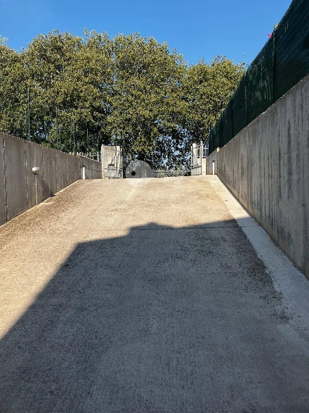 immagine annuncio 5 di 7