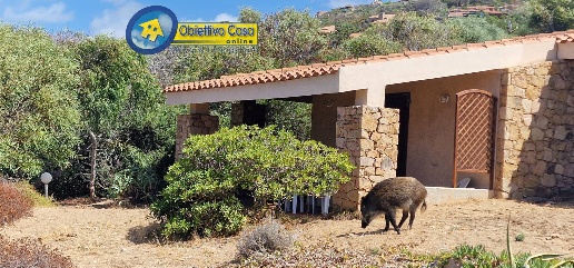 Foto Villa a schiera in Via Alitarru, Trinità d'Agultu e Vignola di 60 m²