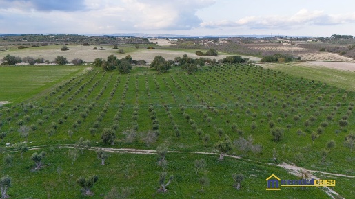 Foto Terreno in contrada Agliastro, Noto di 60803 m² in vendita