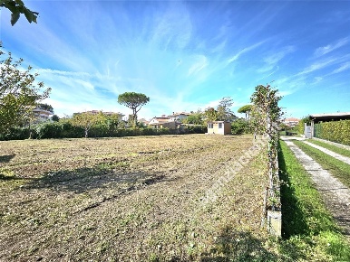 Foto Terreno agricolo a Massa Marina di Massa Centro di 1340 m² in vendita