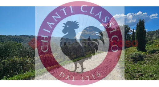 Foto Appartamento in Via case sparse 94, Greve in Chianti di 318 m²