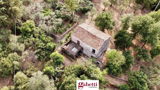 Foto Terreno residenziale in Via Serramarina snc, Casal Velino di 8097 m²