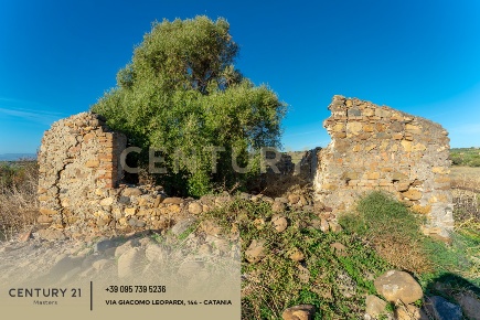 Foto Terreno agricolo in SP13 122, Motta Sant'Anastasia di 13000 m²