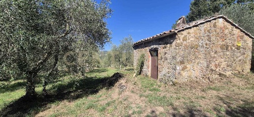 Foto Rustico in Località Le Fonti, Civitella Paganico Civitella Marittima