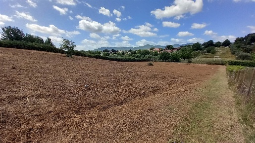 Foto Terreno agricolo a San Cesareo di 2420 m² in vendita