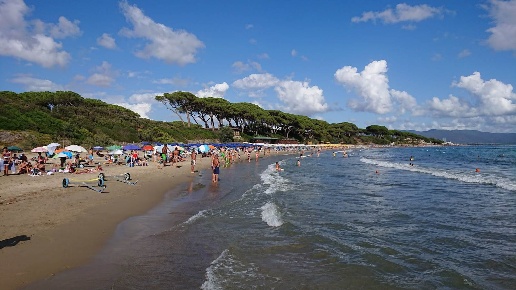 immagine annuncio 8 di 11