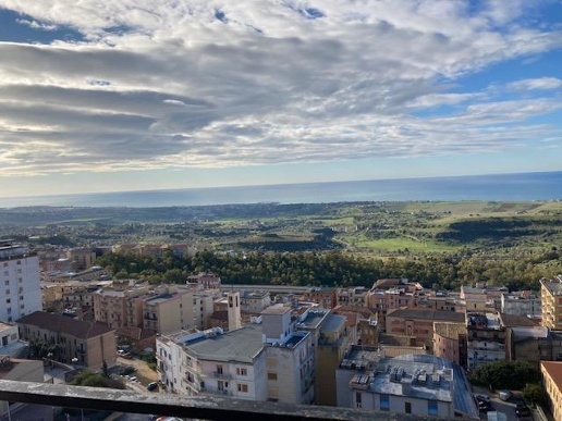 immagine annuncio 3 di 14