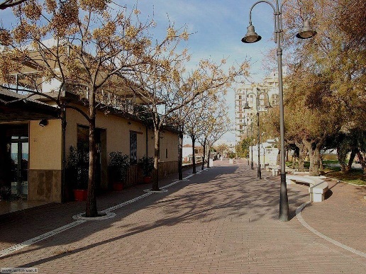 immagine annuncio 2 di 12