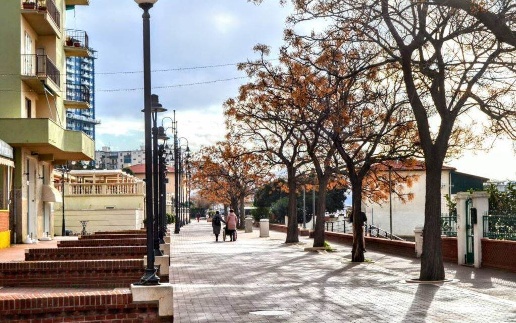 immagine annuncio 6 di 12