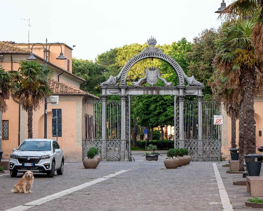 immagine annuncio 4 di 10