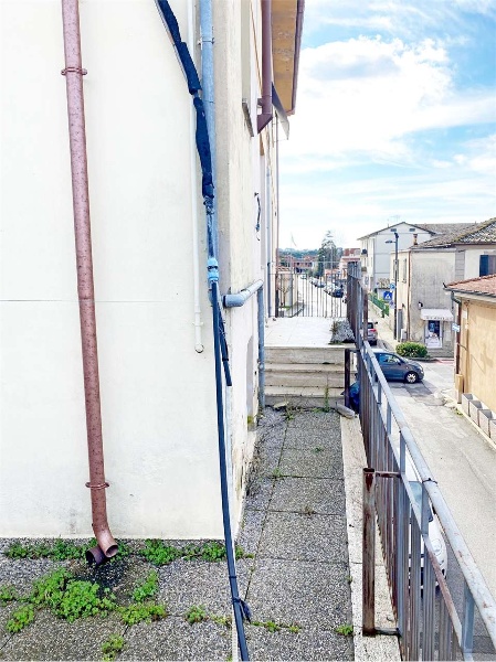 immagine annuncio 2 di 12