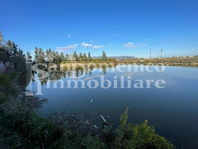 Foto Attività commerciale a Pisa Sant'Ermete - Putignano di 350 m²