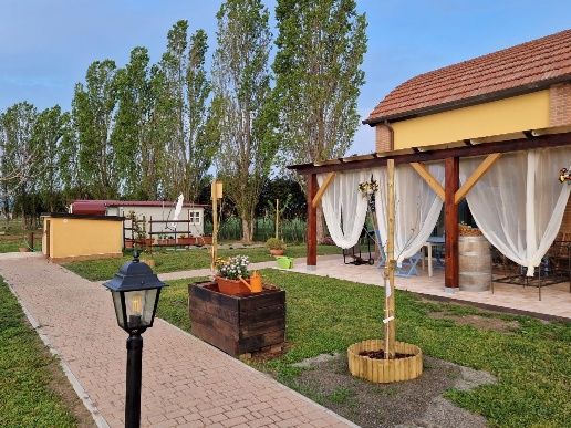 immagine annuncio 10 di 15