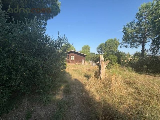 immagine annuncio 7 di 12