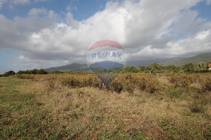 Foto Terreno agricolo in Strada Provinciale Valdarno Casentinese,