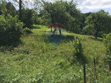 Foto Terreno agricolo in Via Camonier, Zogno di 20000 m² in vendita