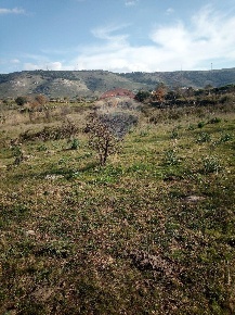 Foto Terreno agricolo in Contrada Cugno Medicina, Carlentini di 15000 m²