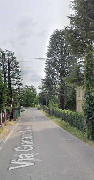 immagine annuncio 13 di 15