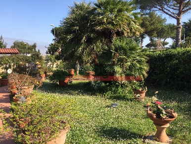 Foto Casa indipendente in via numa campi, Livorno di 240 m² con 5 locali