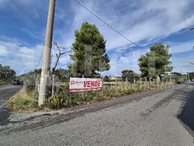 Foto Terreno residenziale in Viale Roma snc, Anzio Villa Claudia di 5000 m²