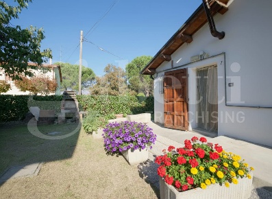 Foto Appartamento a Solarolo di 38 m² con 2 locali in vendita