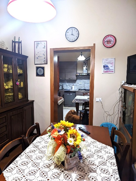 immagine annuncio 9 di 12