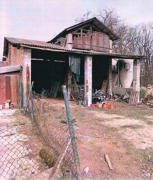 immagine annuncio 4 di 12