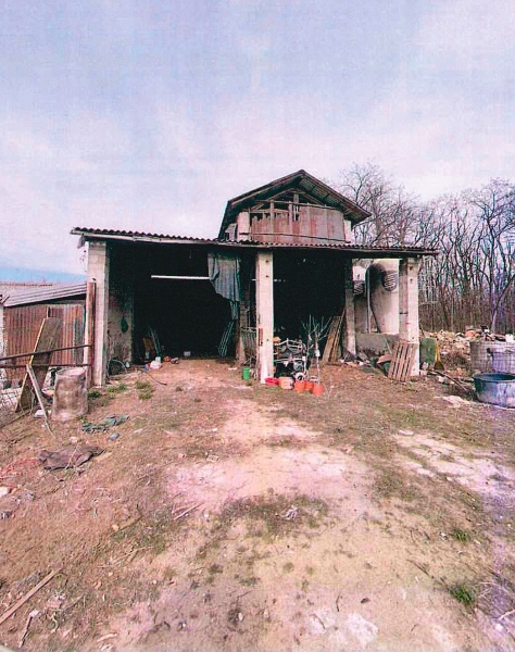 immagine annuncio 5 di 12