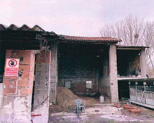 immagine annuncio 8 di 12