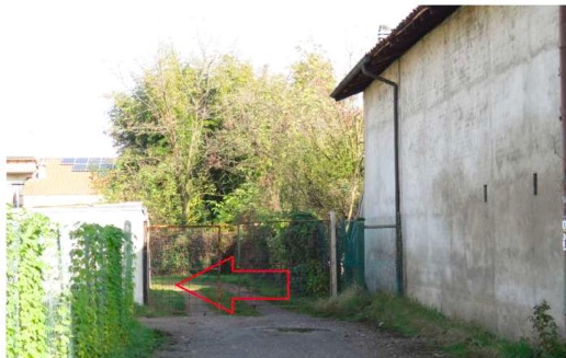 immagine annuncio 4 di 7