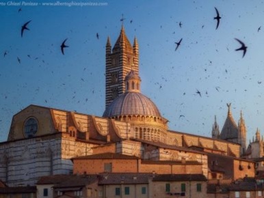 Foto Negozio a Siena di 400 m² in vendita