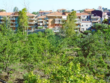 Foto Terreno agricolo in Via Duccio Galimberti, Santa Venerina Centro