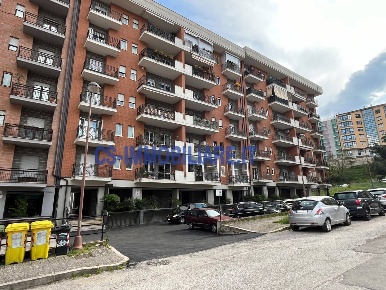 Foto Ufficio in Via Consolini, Potenza Centro di 45 m² con 2 locali