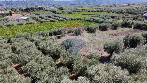 Foto Terreno residenziale a Miglianico di 3910 m² in vendita