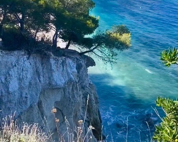 Foto Villa a schiera a Portoferraio di 407 m² con 15 locali in vendita