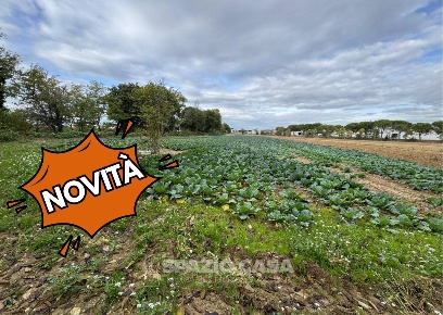 Foto Terreno agricolo in Via Michelangelo, Morrovalle di 8400 m² in vendita