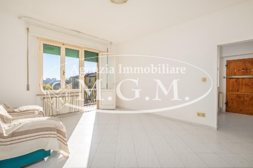 immagine annuncio 0 di 15