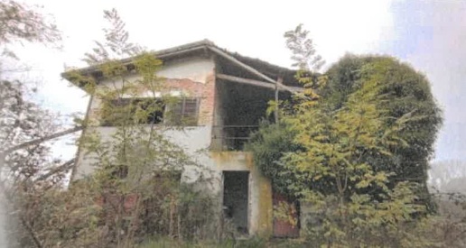 immagine annuncio 1 di 8