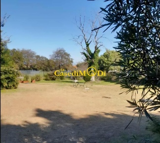 Foto Terreno agricolo a Livorno Porta a Terra - Padula di 2100 m²