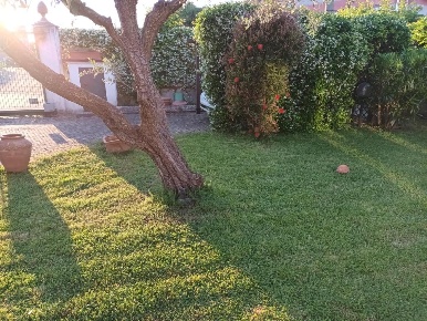 Foto Appartamento a Sarzana Crociata di 70 m² con 3 locali in affitto