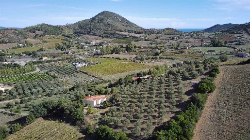 Foto Villa unifamiliare in Via Is Carcuris, Osini di 157 m² con 6 locali