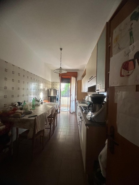 immagine annuncio 9 di 14